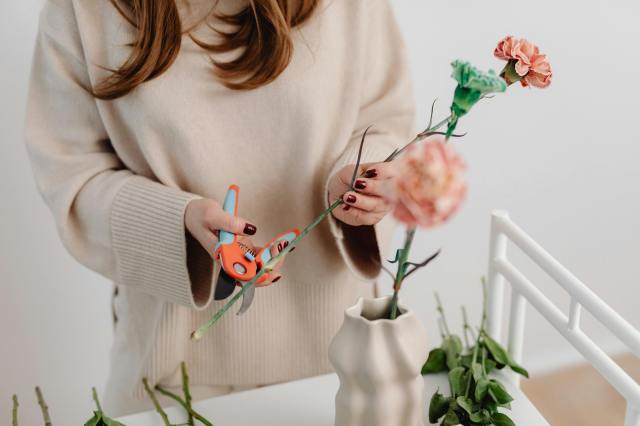 Anonymous woman in a beige long-sleeve sweater cutting the base of a carnation stem with a pair of orange and blue snippers.