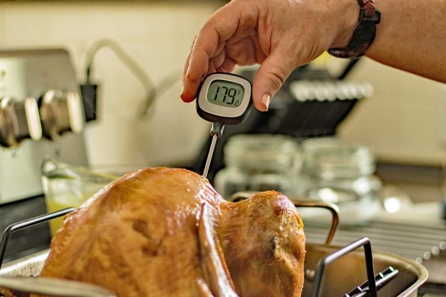 Anonymous person using an instant-read thermometer to check the temperature of a Thanksgiving turkey in a roasting pan.