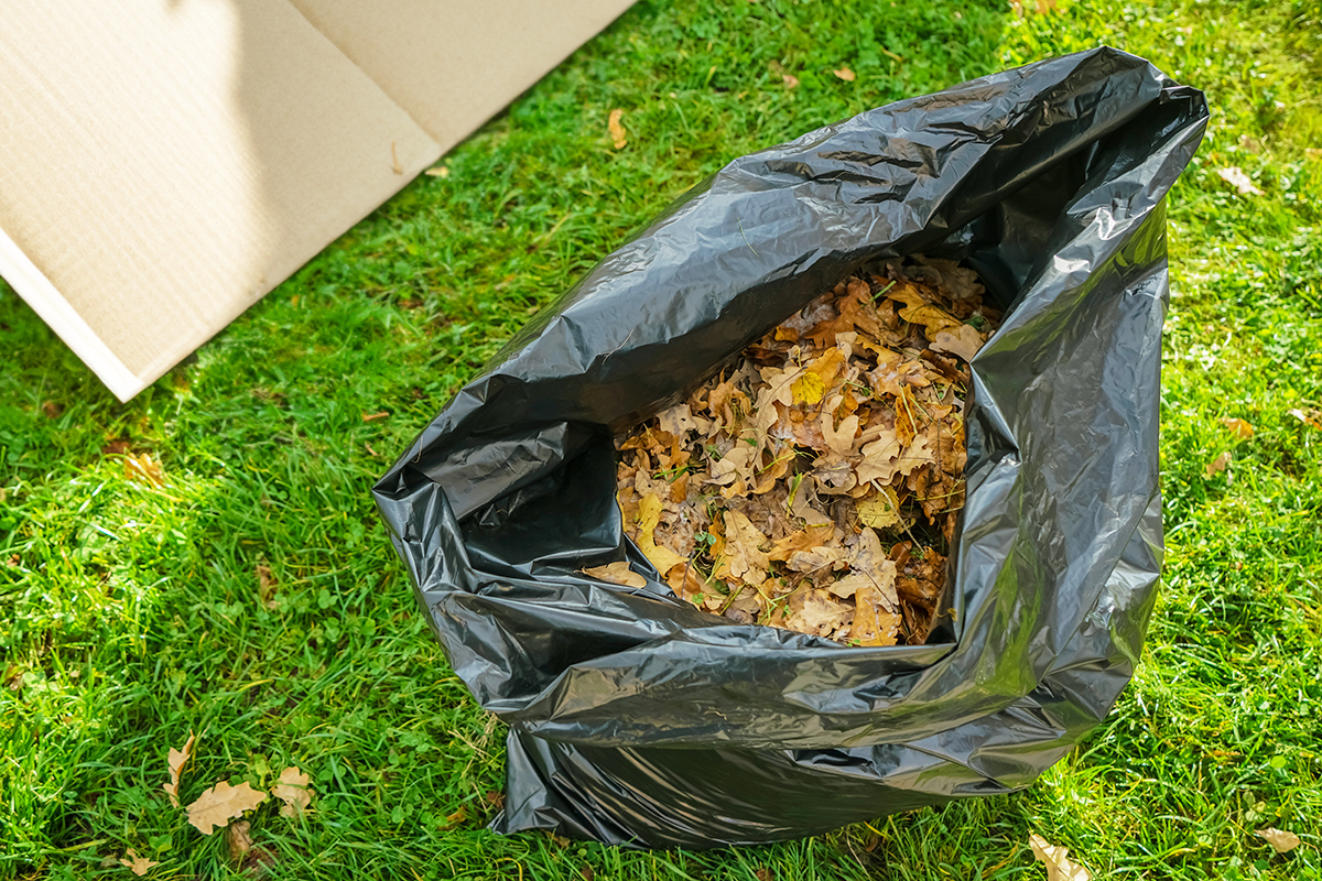 This Trick Makes Bagging Fallen Leaves So Much Easier