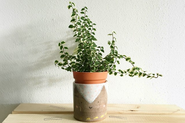 A trellising, ivy-looking plant in a terracotta pot inside another decorative pot with a smiling face on it. The plant is sitting on a slatted wooden table.