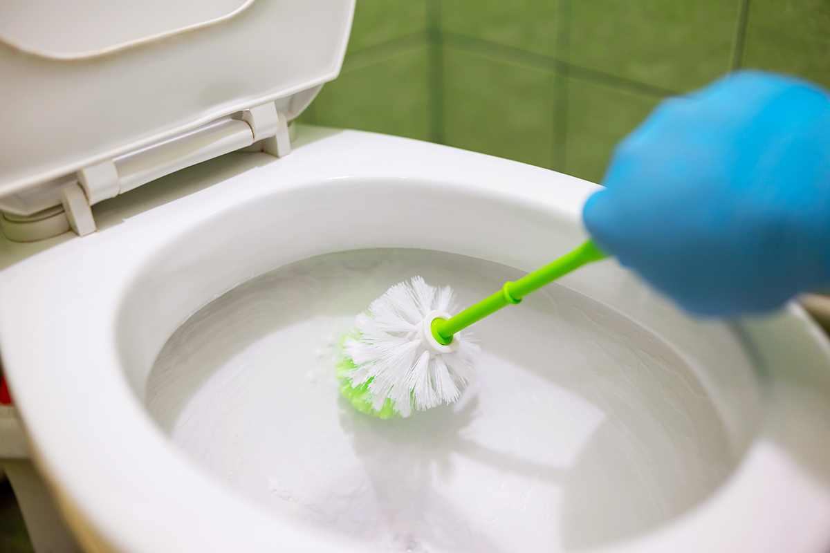 How To Keep Your Toilet Brush Germ-Free