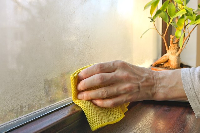 An anonymous person using a yellow cloth to clean condensation from a foggy window. On the windowsill is a small houseplant.